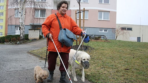 Nevidom Zdenka Borskov s vodicm psem